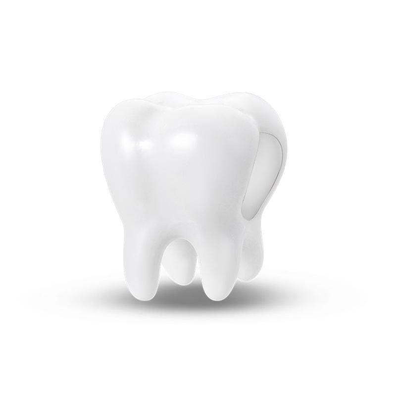 Molar Tooth Charm